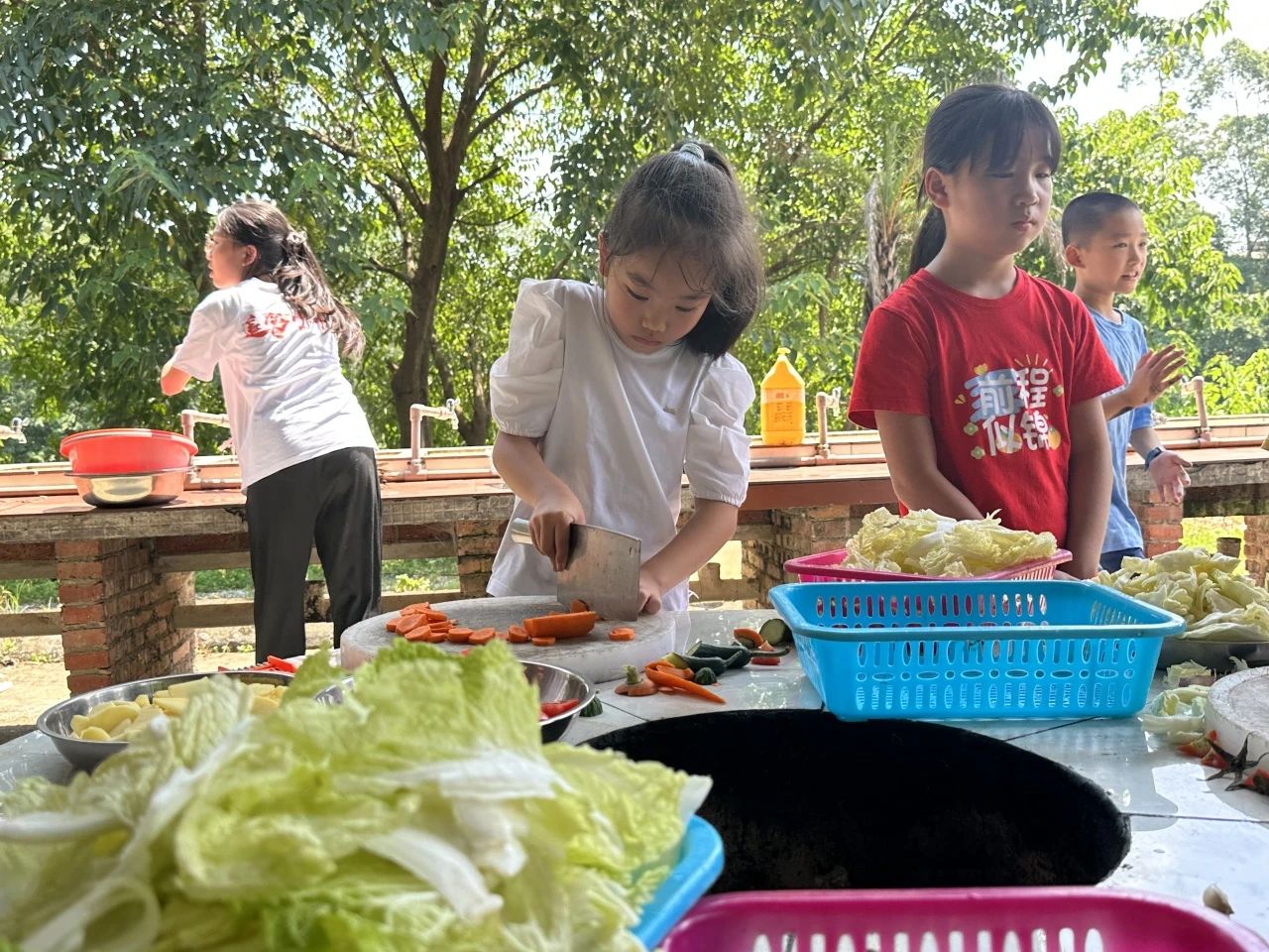 尊龙凯时人生就是搏(中国区)官方网站